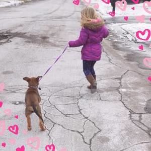 Meet your Posher, Holly